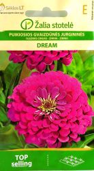 Zinnia Dream Seeds